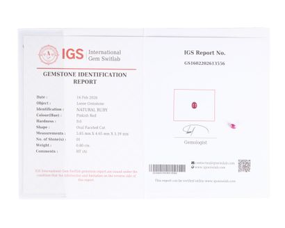 Rubis taille ovale sur papier avec son certificat...
