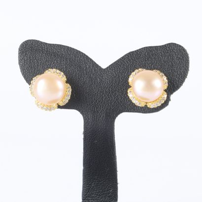 Paire de boutons d'oreilles fleurs en acier...