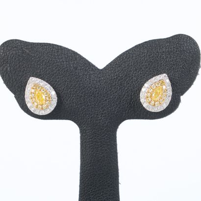 Pair of ear studs in white gold (750‰), each...