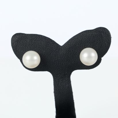 Paire de clous d'oreilles en or gris sertis...