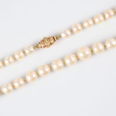 Necklace of tumbling cultured pearls (7 to...