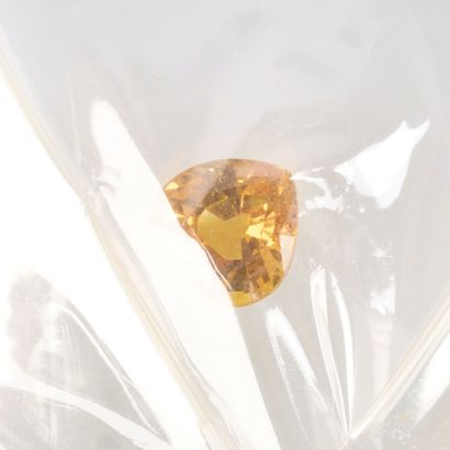 Saphir taille coeur jaune orange sous scellé,...