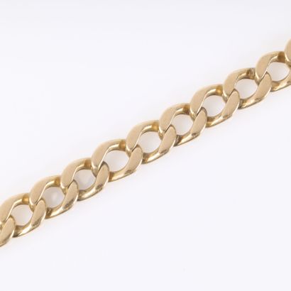 Gourmette en or maille gourmette. 19,5 cm....