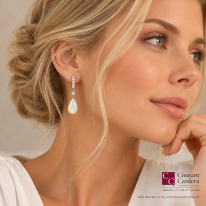 Pair of platinum earrings, each set with...