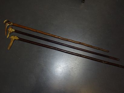 Lot de trois cannes avec pommeaux en bois...