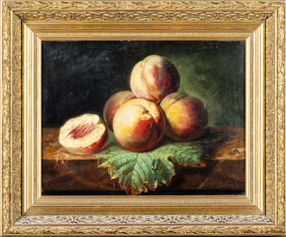 Charles Léon CARDON (1850-1921) : Nature...