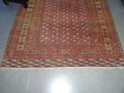 BOUKARA : Tapis en laine aux points noués...