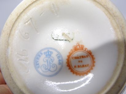 SEVRES : Tasse et sous-tasse en porcelaine...