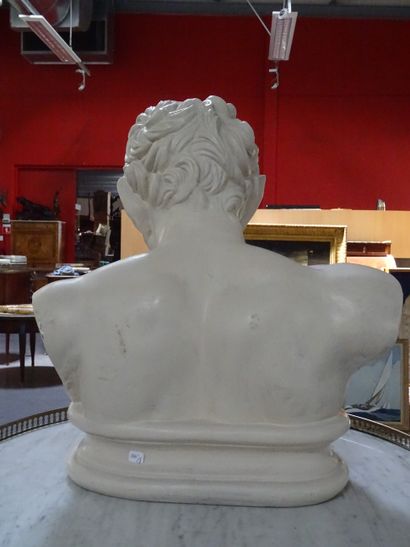 Faune de Vienne : Buste en plâtre portant...