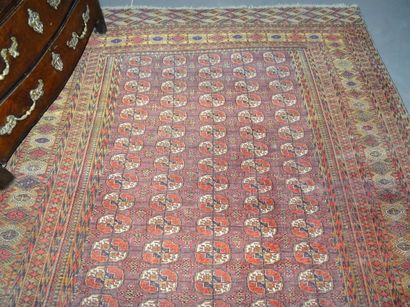 BOUKARA : Tapis en laine aux points noués...