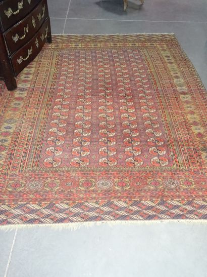 BOUKARA : Tapis en laine aux points noués...