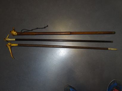Lot de trois cannes avec pommeaux en bois...