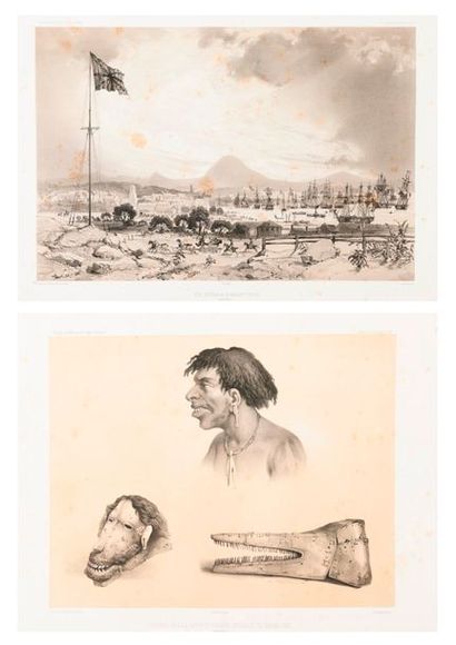 Voyage au Pôle Sud et dans l'Océanie sur...
