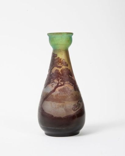 ÉTABLISSEMENTS GALLÉ


Vase piriforme à panse...