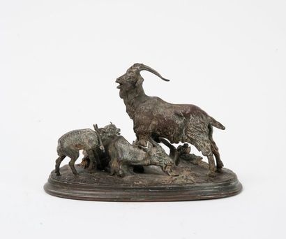 D'après Pierre-Jules MÊNE (1810-1879)


Chèvres...