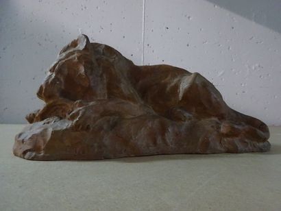 Albert HAGER (1857-1940)


Lion couché dévorant...