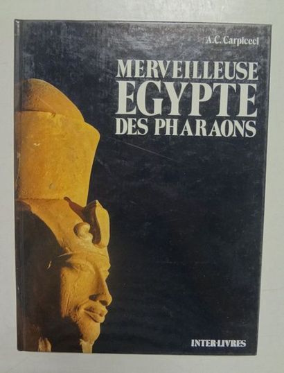 CARLO CARPICECI Alberto


Merveilleuse Egypte...