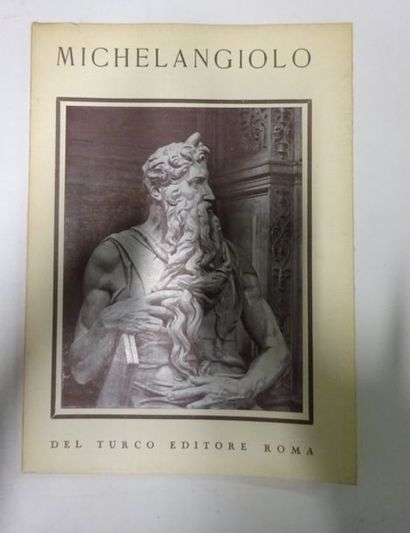 Michelangiolo, les sculptures


Del Turco...