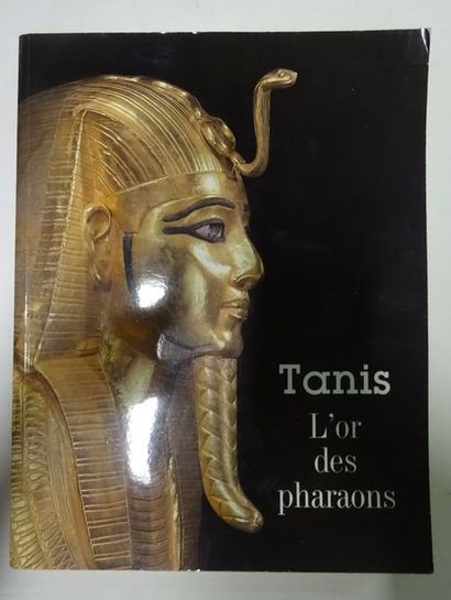 L’Association Française d’Action Artistique


Tanis,...