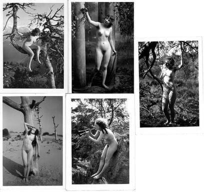 Marcel Paul MEYS (1886-1972) 


Cinq photographies...