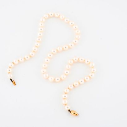 Collier de perles de culture blanches en...