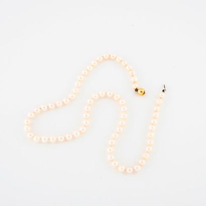 Collier de perles de culture blanches en...