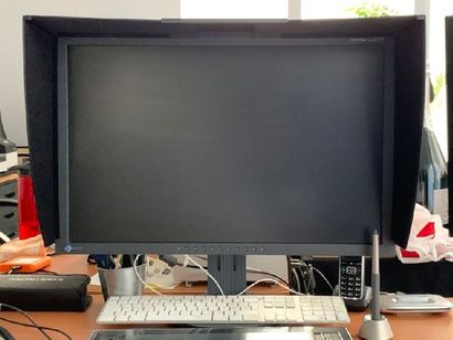 Lot composé de 2 ecran Eizo Color Edge CG243W...