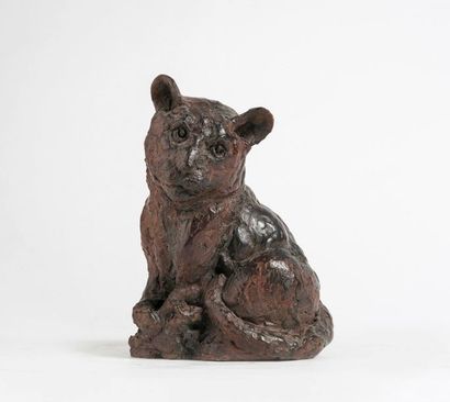Robert GODEFROY (1928-2020)


Lionceau et...
