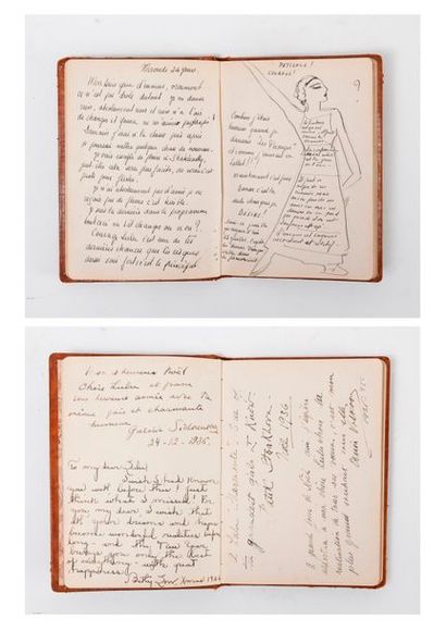 Journal de voyage de la danseuse - de Ballets...