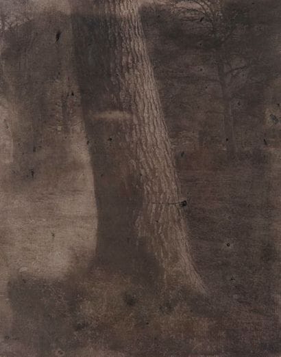 Gérard TRAQUANDI (1952)


Tronc d'arbre,...