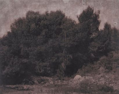 Gérard TRAQUANDI (1952)


Forêt, 1991.

Technique...