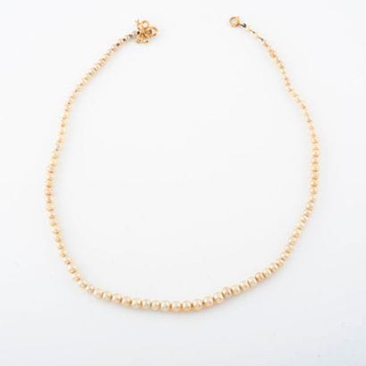 Necklace of white fantasy pearls in fall.

Clasp...
