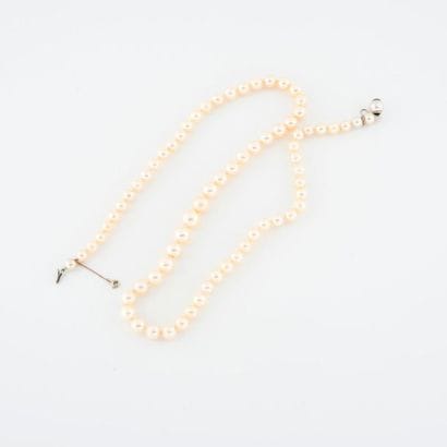 Necklace of white cultured pearls in choker....