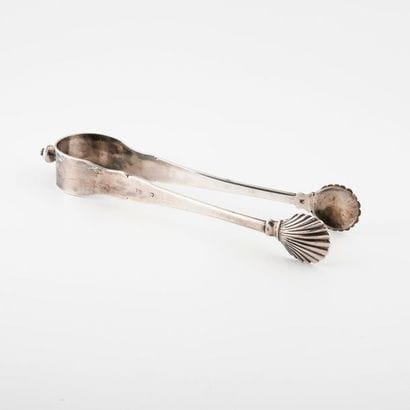 Plain silver (950) sugar tongs with shell...