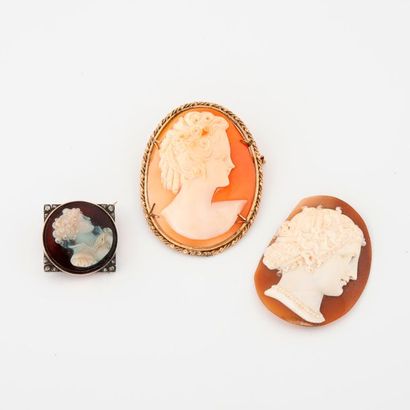 Two pins:

- one in yellow (750) gold and...