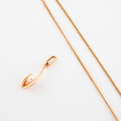 Neck chain in yellow gold (750) with curb...