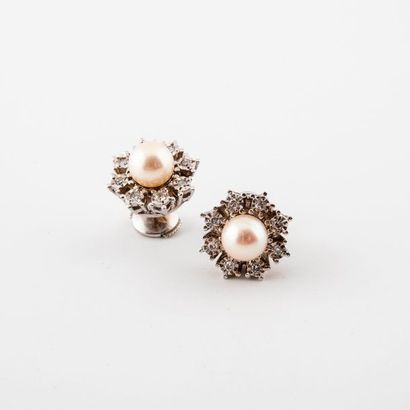 Paire de clous d'oreilles en or gris (750)...