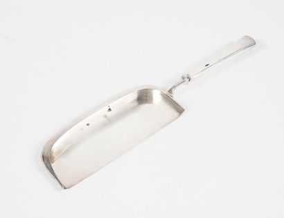Silver crumb collector (800) with a handle...