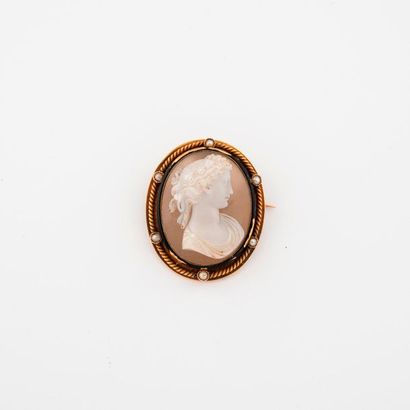 Brooch in yellow gold (750) centred on a...