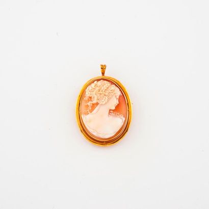 Pendentif broche ovale en or jaune (750)...
