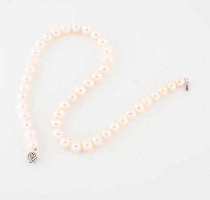 Collier de perles de culture blanches en...