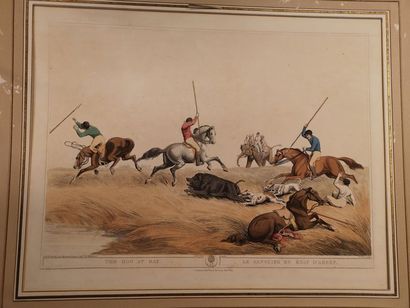 Angleterre, Le sanglier en état d'arrêt (The...