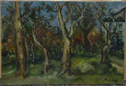Isaac ANTCHER (1899-1992)


Arbres tortueux.

Huile...