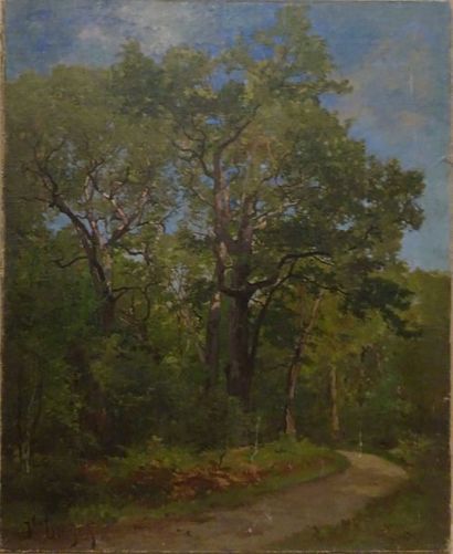 Jles TRAYER ?


Chemin en forêt, huile sur...