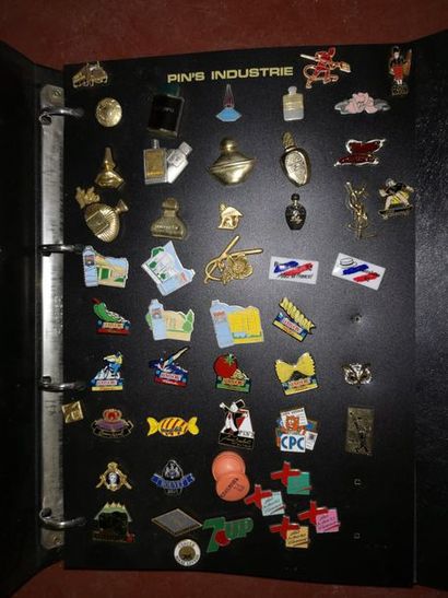 Collection de Pin's dont Arthus Bertrand...