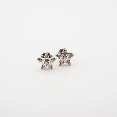 Paire de clous d'oreilles en or gris (750)...