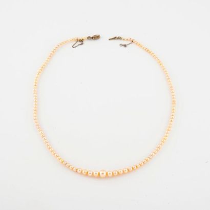 Necklace of white pearls, probably fine,...