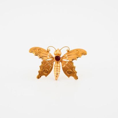 Broche papillon en or jaune (750) amati,...