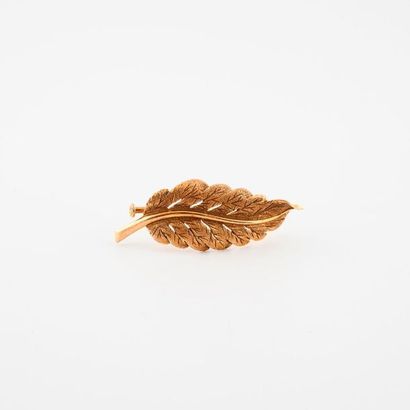 Broche feuille en or jaune (750) 

Epingle...