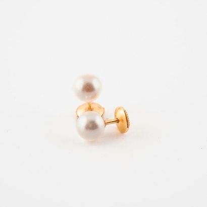 Paire de clous d'oreilles en or jaune (750)...